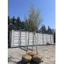 May Nursery Consignment Auction