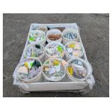 Crate of Misc Screws, Nuts, Bolts, Etc