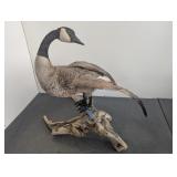 Taxidermy Goose