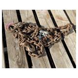 ~25' Chain