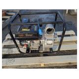 Paladin 3' Gas Water Pump