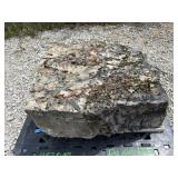 Large Crinoid Fossil Rock From Limestone Quarry