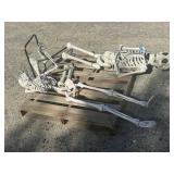 2- Skeletons