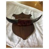 Mounted Cow horns