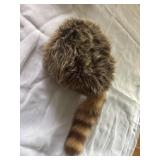 Raccoon hat