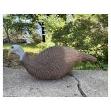 Turkey decoy