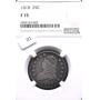 Summer's Coin Auction