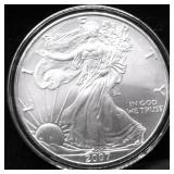 2007 SILVER EAGLE GEM