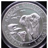 2015 SOMALI ELEPHANT GEM