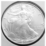 2007 SILVER EAGLE GEM