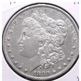 1880 MORGAN DOLLAR XF DETAILS