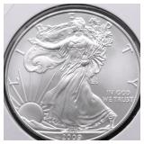 2009 SILVER EAGLE GEM