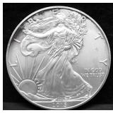 2013 SILVER EAGLE GEM