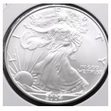2004 SILVER EAGLE GEM
