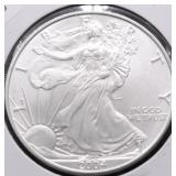 2004 SILVER EAGLE GEM