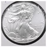 2013 SILVER EAGLE GEM