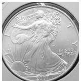 2007 SILVER EAGLE GEM