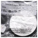 2009 SILVER EAGLE GEM