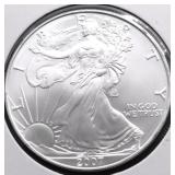2007 SILVER EAGLE GEM