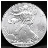 2013 SILVER EAGLE GEM