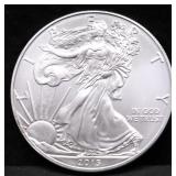 2013 SILVER EAGLE GEM
