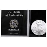 2015 SILVER EAGLE GEM