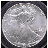 COLORIZED SILVER EAGLE