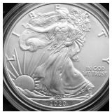 2020 SILVER EAGLE GEM