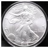 2002 SILVER EAGLE GEM