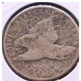 NO DATE FLYING EAGLE CENT