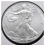 2015 SILVER EAGLE GEM