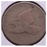 NO DATE FLYING EAGLE CENT