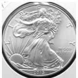 2013 SILVER EAGLE GEM