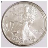 2007 SILVER EAGLE GEM