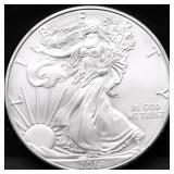 2014 SILVER EAGLE GEM