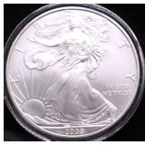 2009 SILVER EAGLE GEM