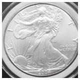 2004 SILVER EAGLE GEM