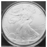 2009 SILVER EAGLE GEM