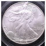 2002 SILVER EAGLE GEM