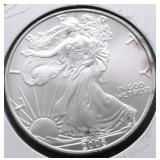 2006 SILVER EAGLE GEM