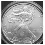 2008 SILVER EAGLE GEM