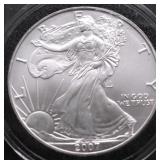 2007 SILVER EAGLE GEM
