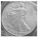 2016 SILVER EAGLE GEM