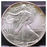 1989 SILVER EAGLE GEM