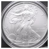 2008 SILVER EAGLE GEM