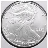 2004 SILVER EAGLE GEM