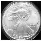 2000 SILVER EAGLE GEM