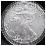 2010 SILVER EAGLE GEM