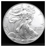 2014 SILVER EAGLE GEM