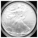 2008 SILVER EAGLE GEM